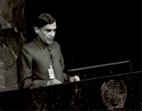 Representing India and Addressing the Delegates at United Nations